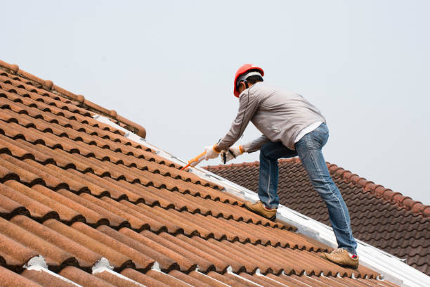 Best Roof Maintenance and Cleaning  in Franconia, VA